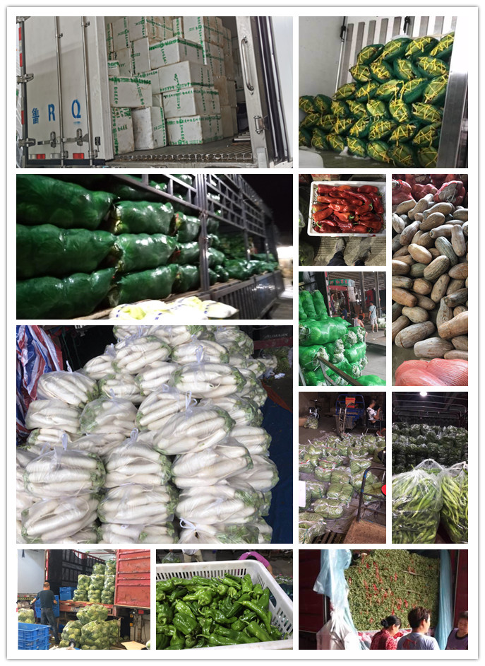 J9旗舰厅(中国区)官方网站