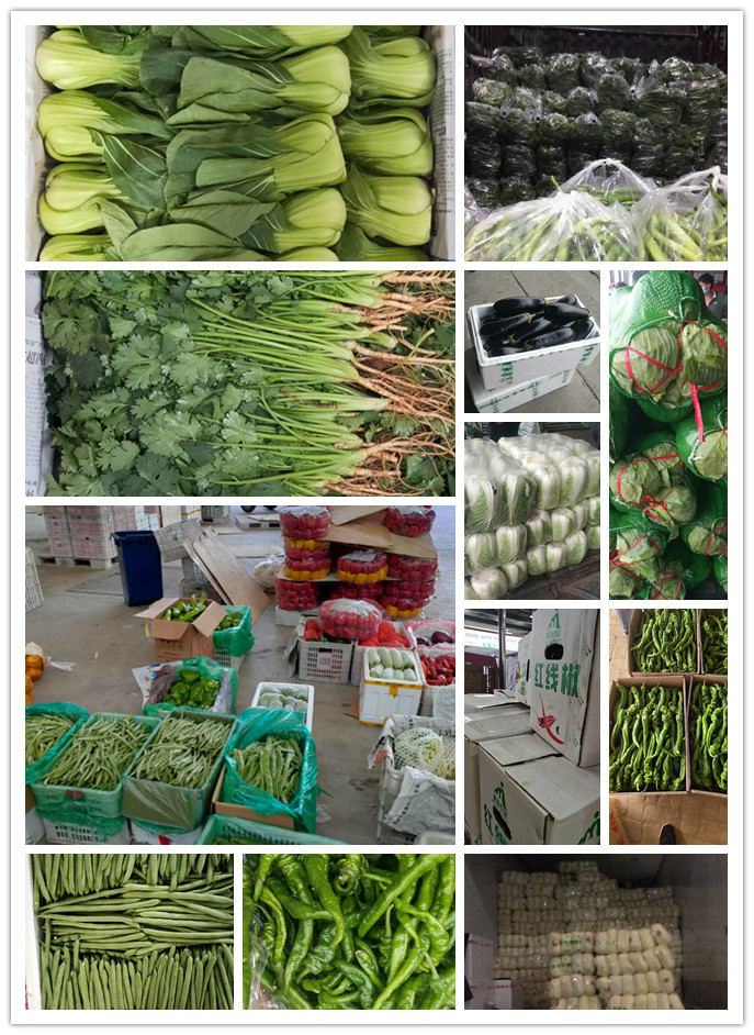 J9旗舰厅(中国区)官方网站