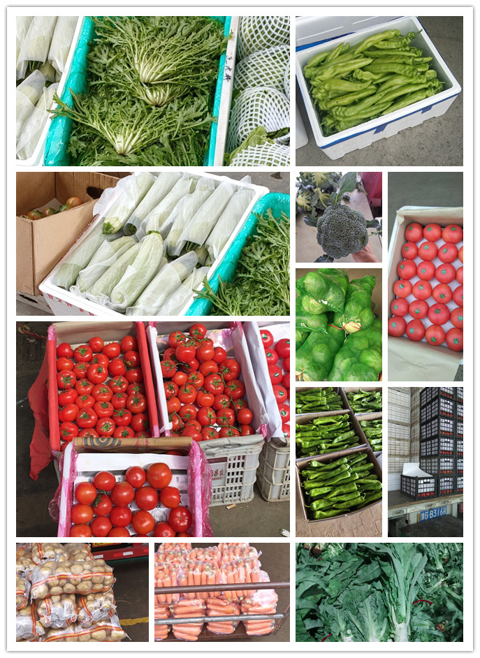 J9旗舰厅(中国区)官方网站