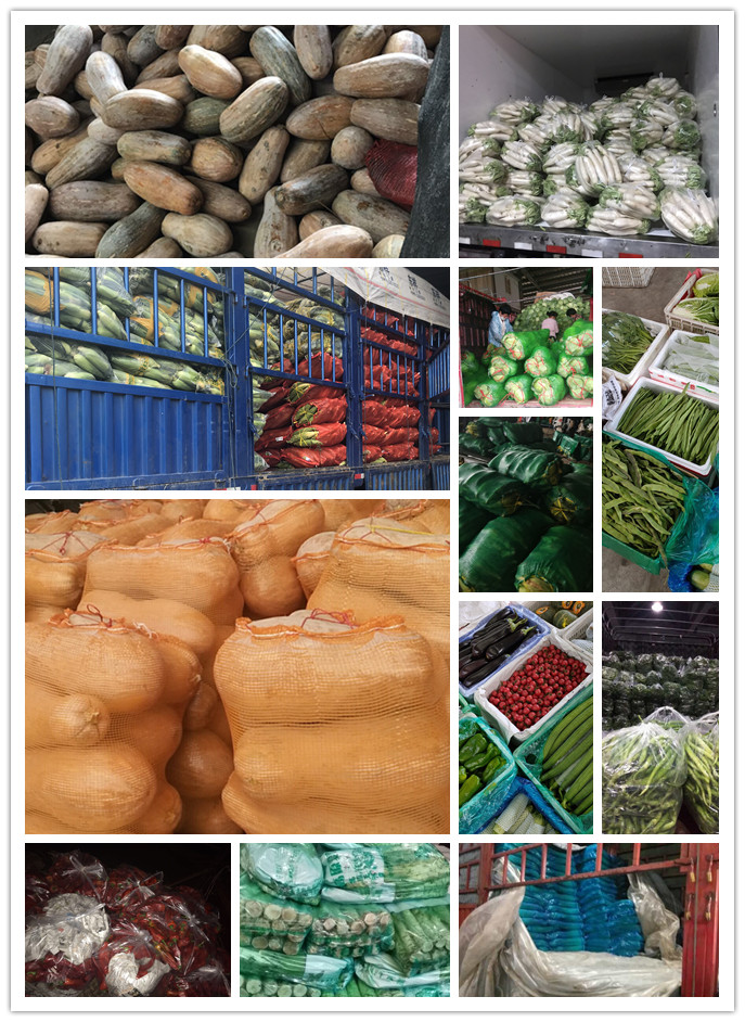 J9旗舰厅(中国区)官方网站