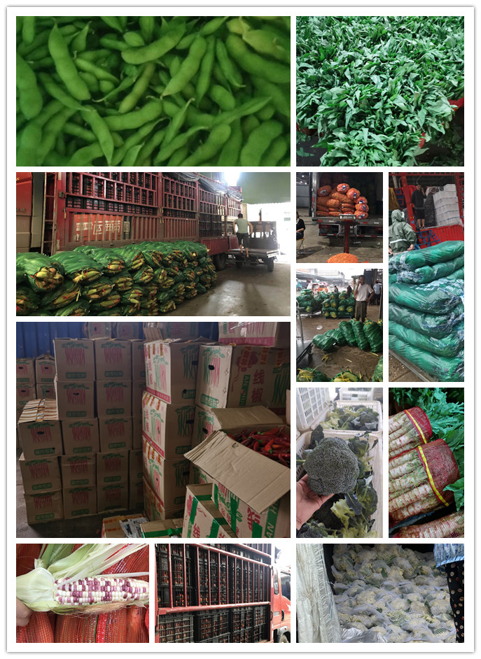 J9旗舰厅(中国区)官方网站