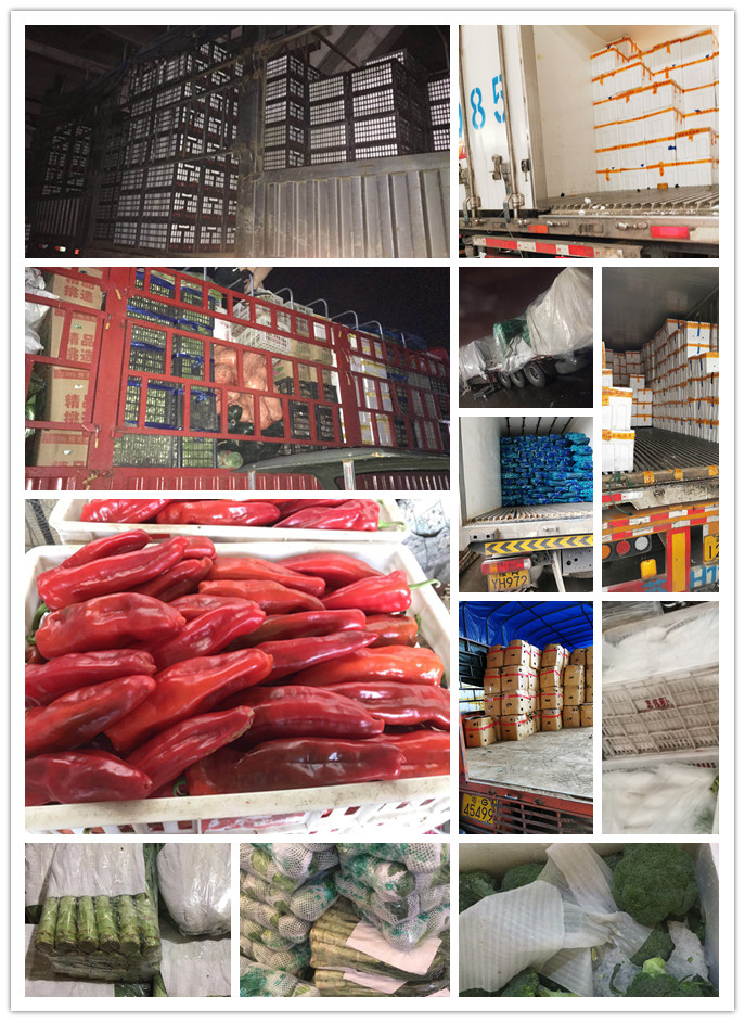 J9旗舰厅(中国区)官方网站