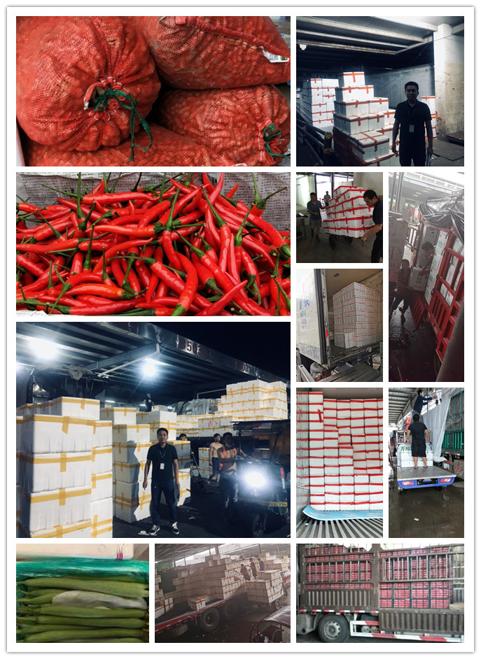 J9旗舰厅(中国区)官方网站