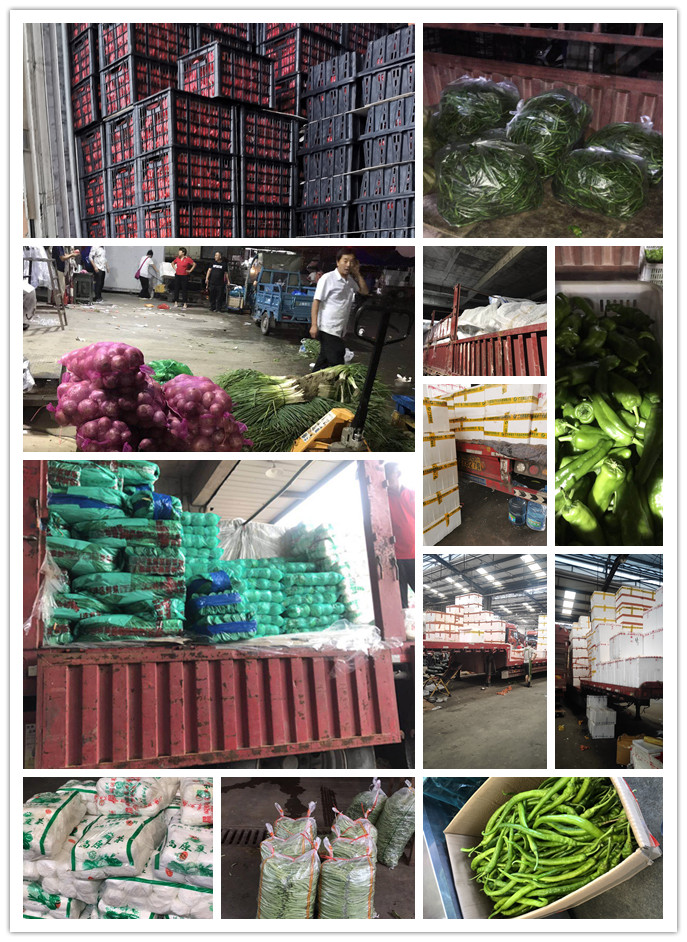 J9旗舰厅(中国区)官方网站