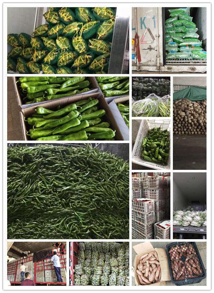 J9旗舰厅(中国区)官方网站