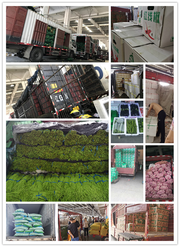 J9旗舰厅(中国区)官方网站