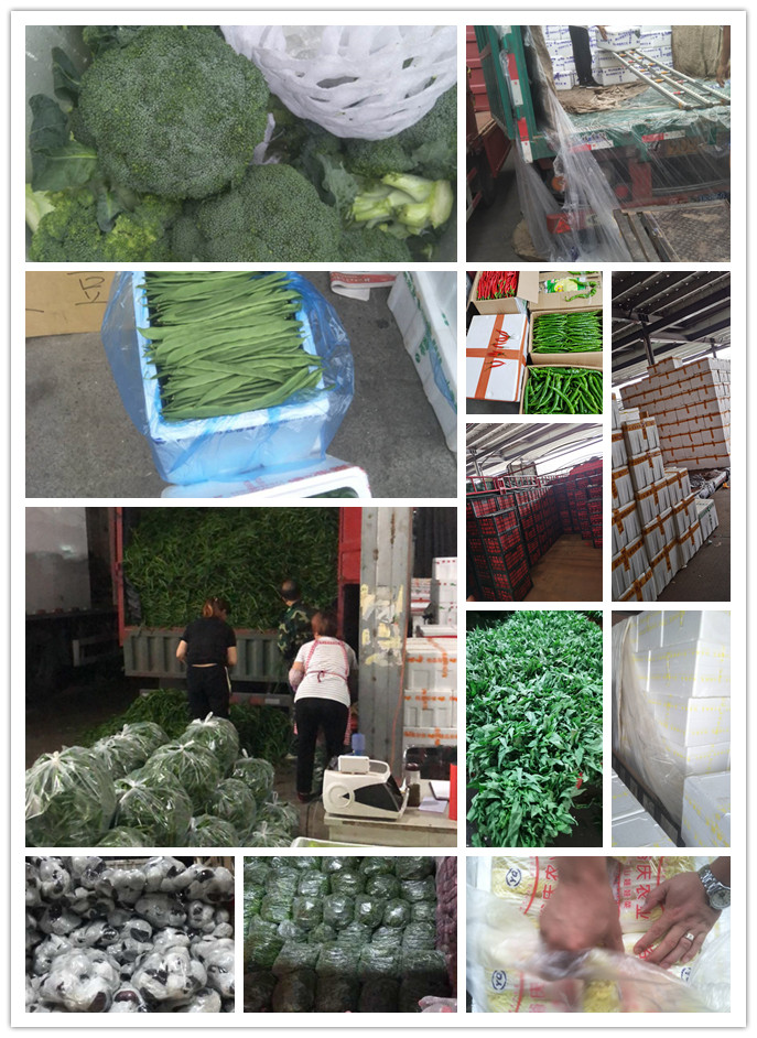 J9旗舰厅(中国区)官方网站