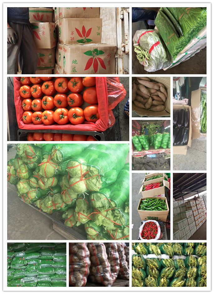 J9旗舰厅(中国区)官方网站