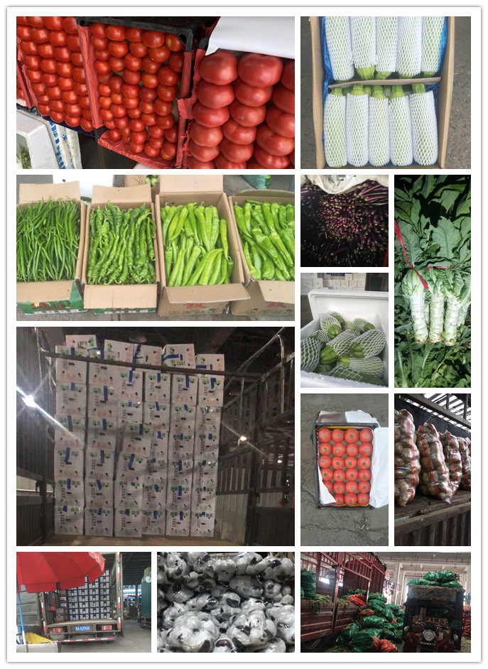 J9旗舰厅(中国区)官方网站