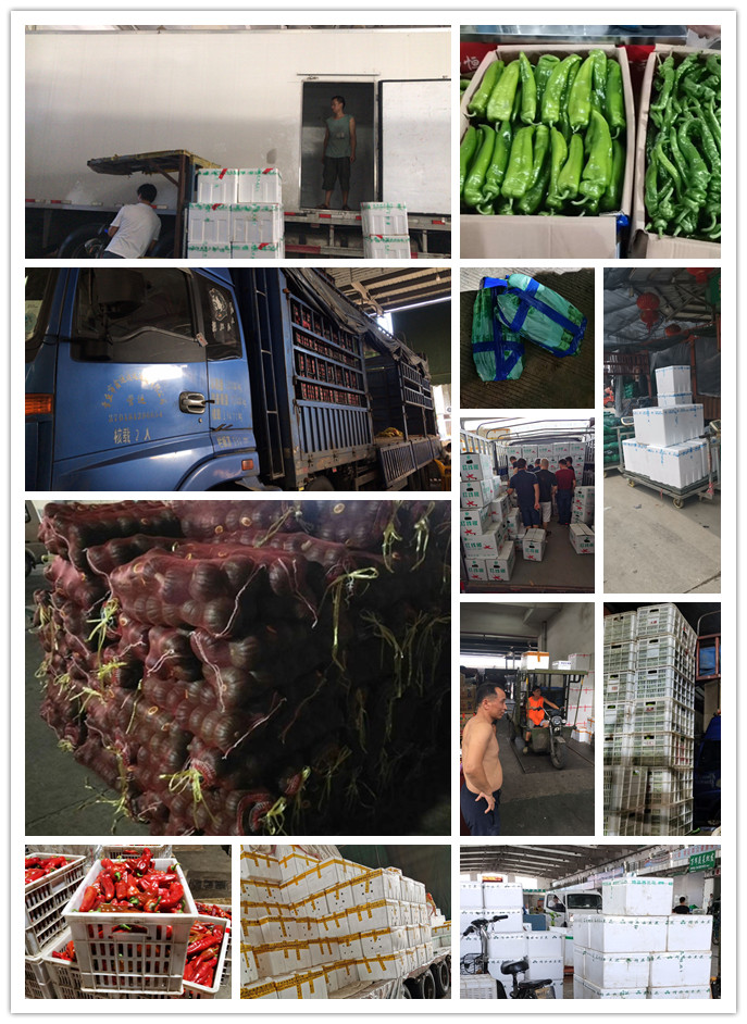 J9旗舰厅(中国区)官方网站