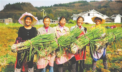 J9旗舰厅(中国区)官方网站