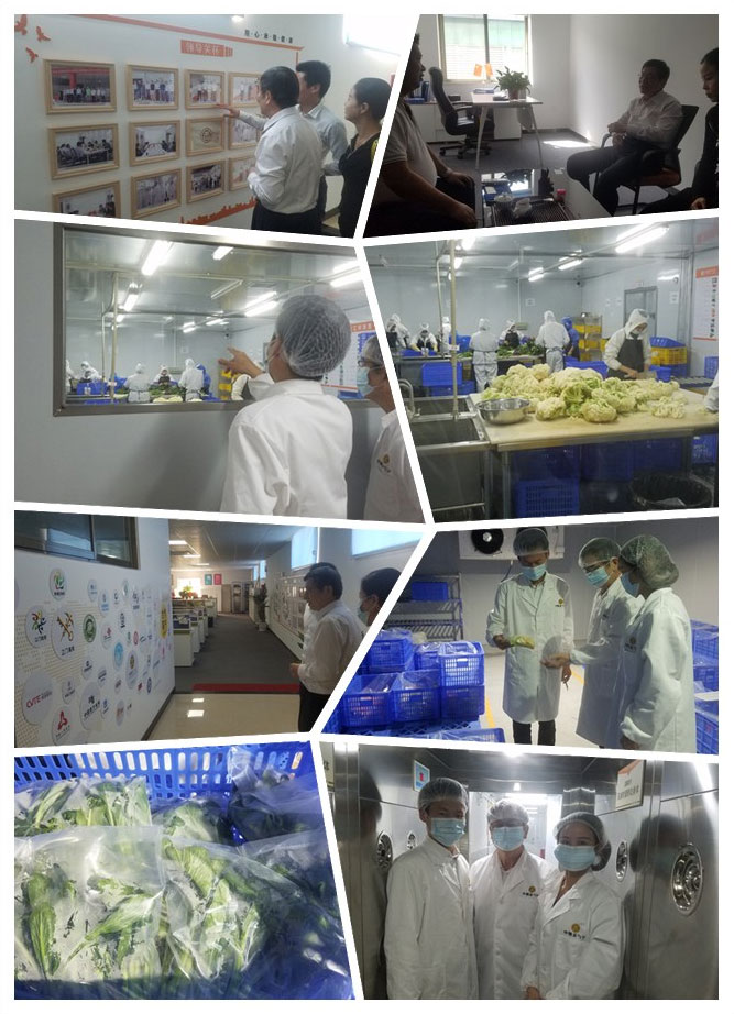 J9旗舰厅(中国区)官方网站