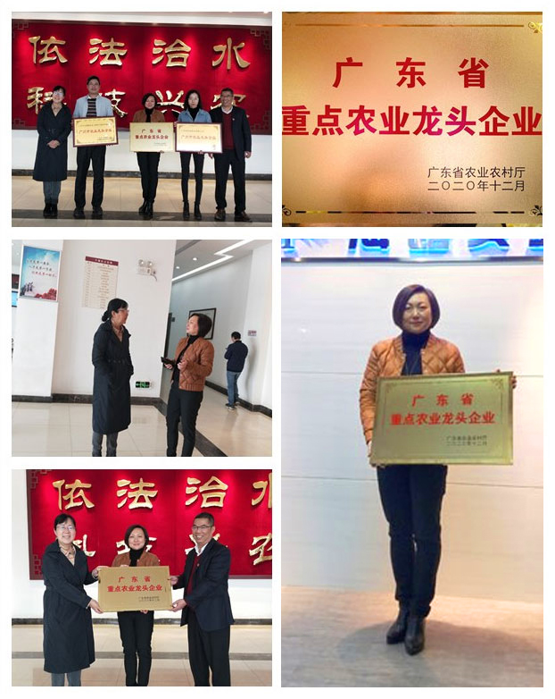 J9旗舰厅(中国区)官方网站