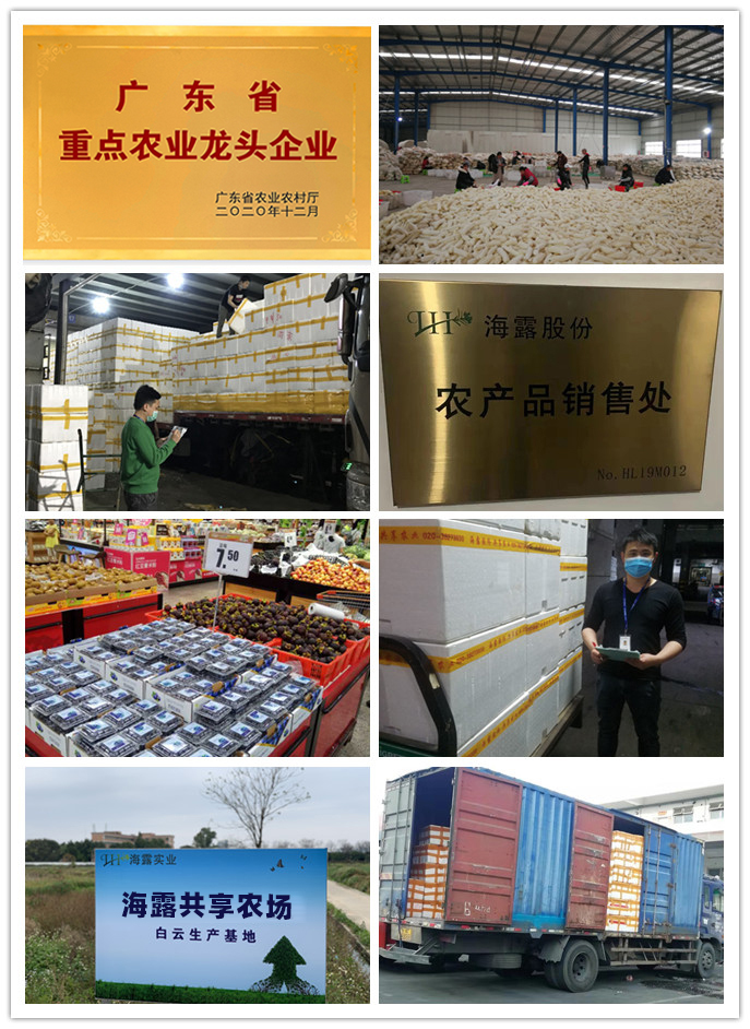 J9旗舰厅(中国区)官方网站