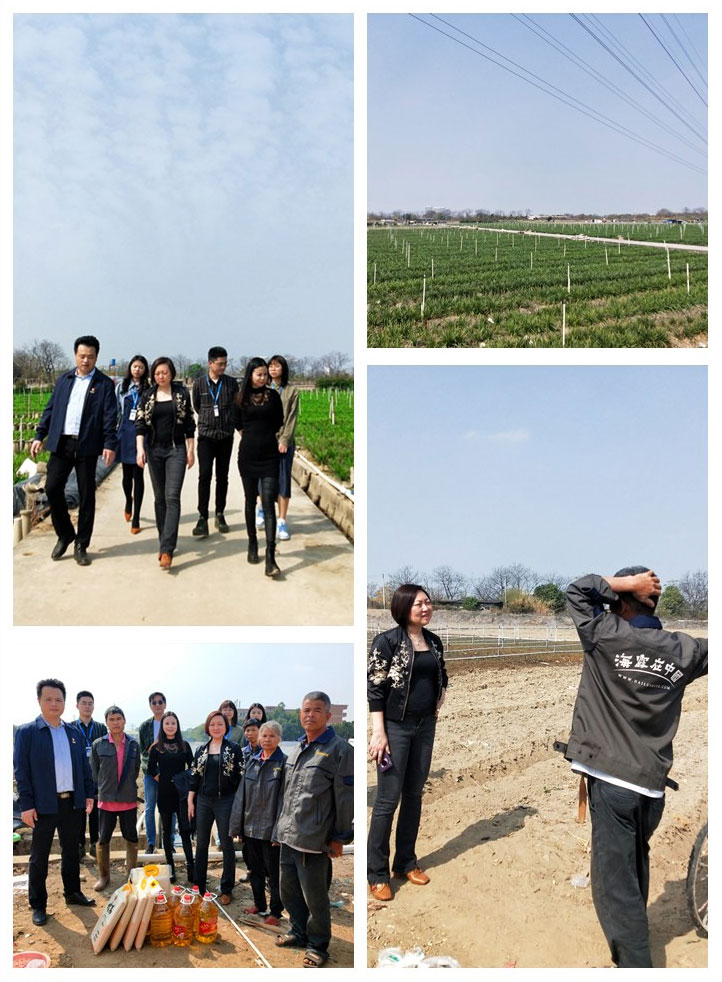 J9旗舰厅(中国区)官方网站