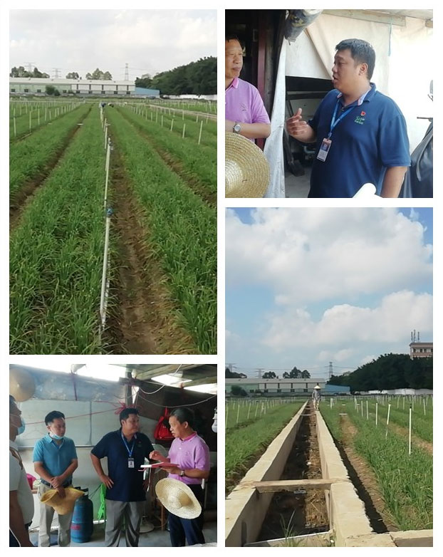 J9旗舰厅(中国区)官方网站