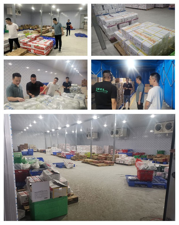 J9旗舰厅(中国区)官方网站