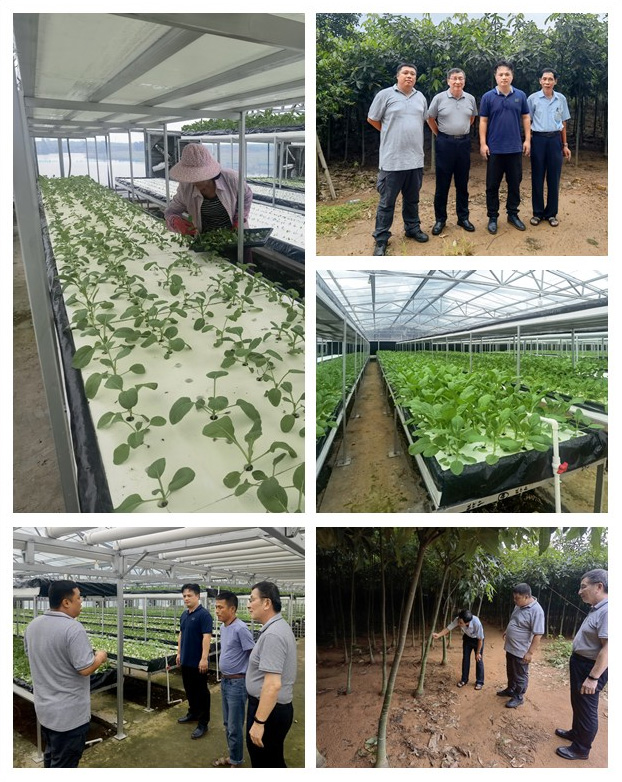 J9旗舰厅(中国区)官方网站