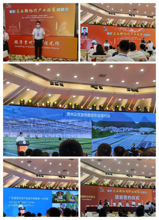 J9旗舰厅(中国区)官方网站