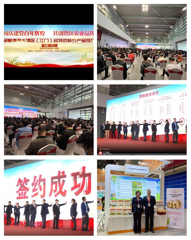 J9旗舰厅(中国区)官方网站