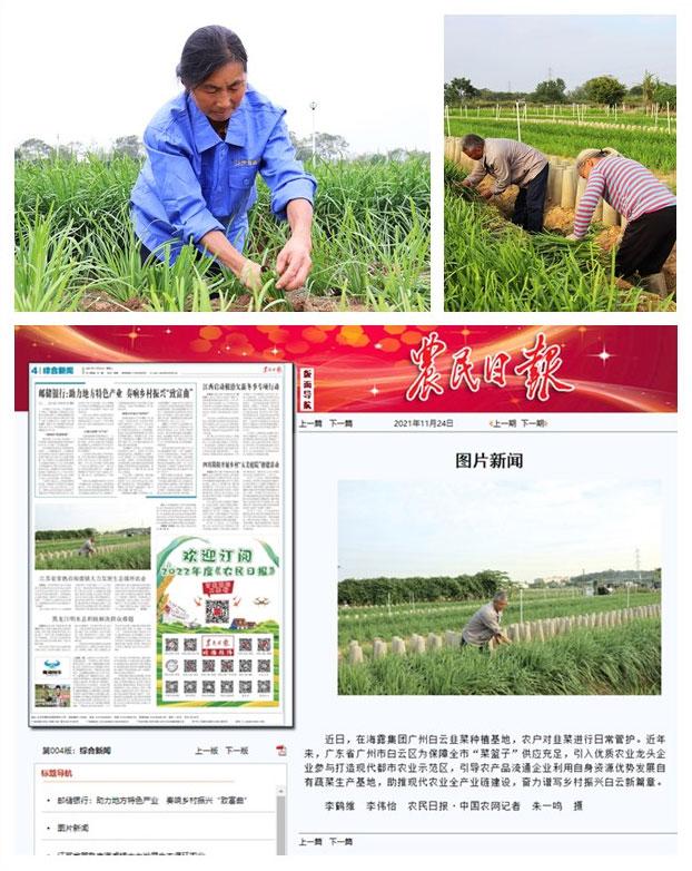 J9旗舰厅(中国区)官方网站