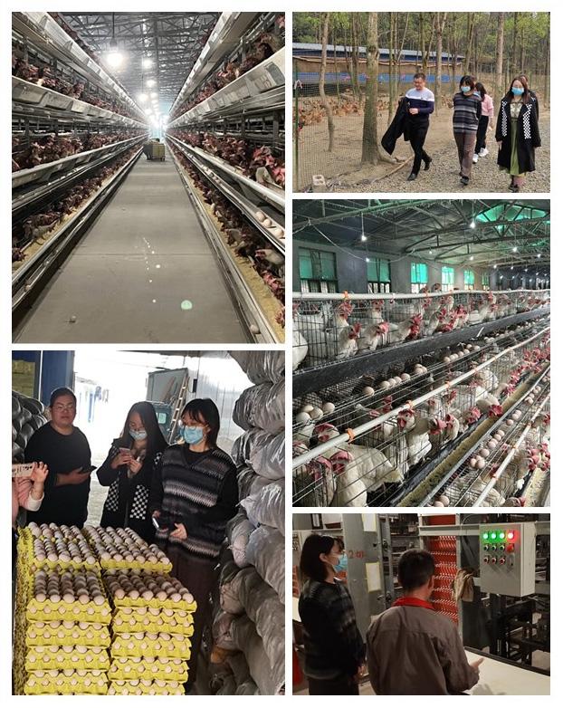 J9旗舰厅(中国区)官方网站