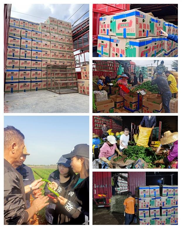 J9旗舰厅(中国区)官方网站