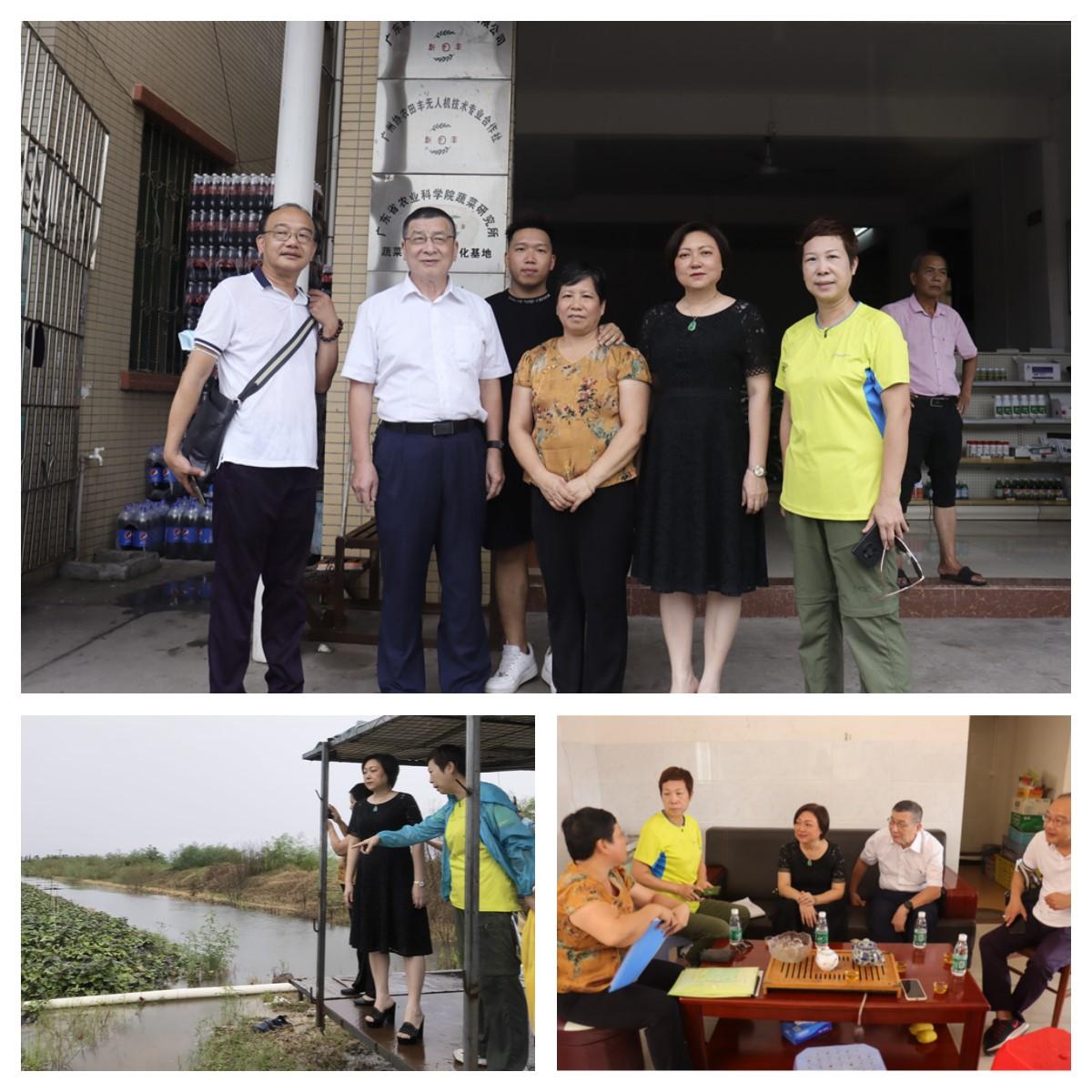 J9旗舰厅(中国区)官方网站