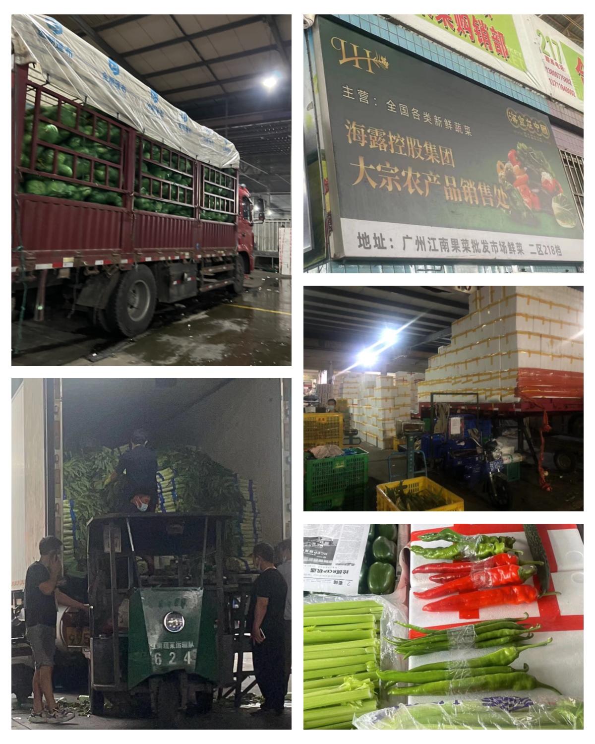 J9旗舰厅(中国区)官方网站