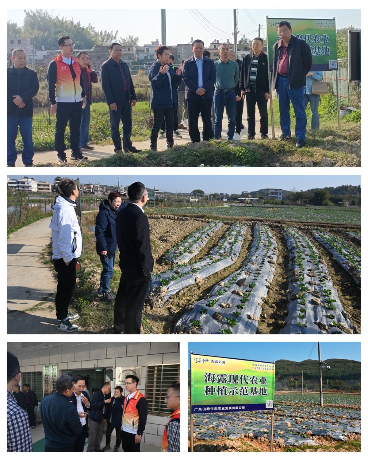 J9旗舰厅(中国区)官方网站