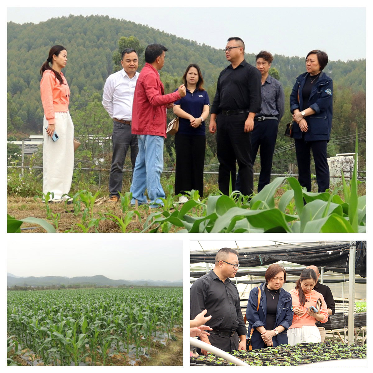 J9旗舰厅(中国区)官方网站