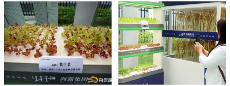 J9旗舰厅(中国区)官方网站