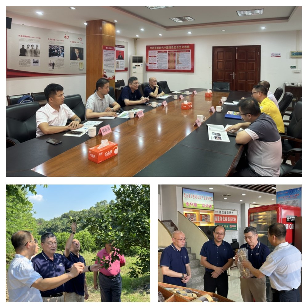 J9旗舰厅(中国区)官方网站