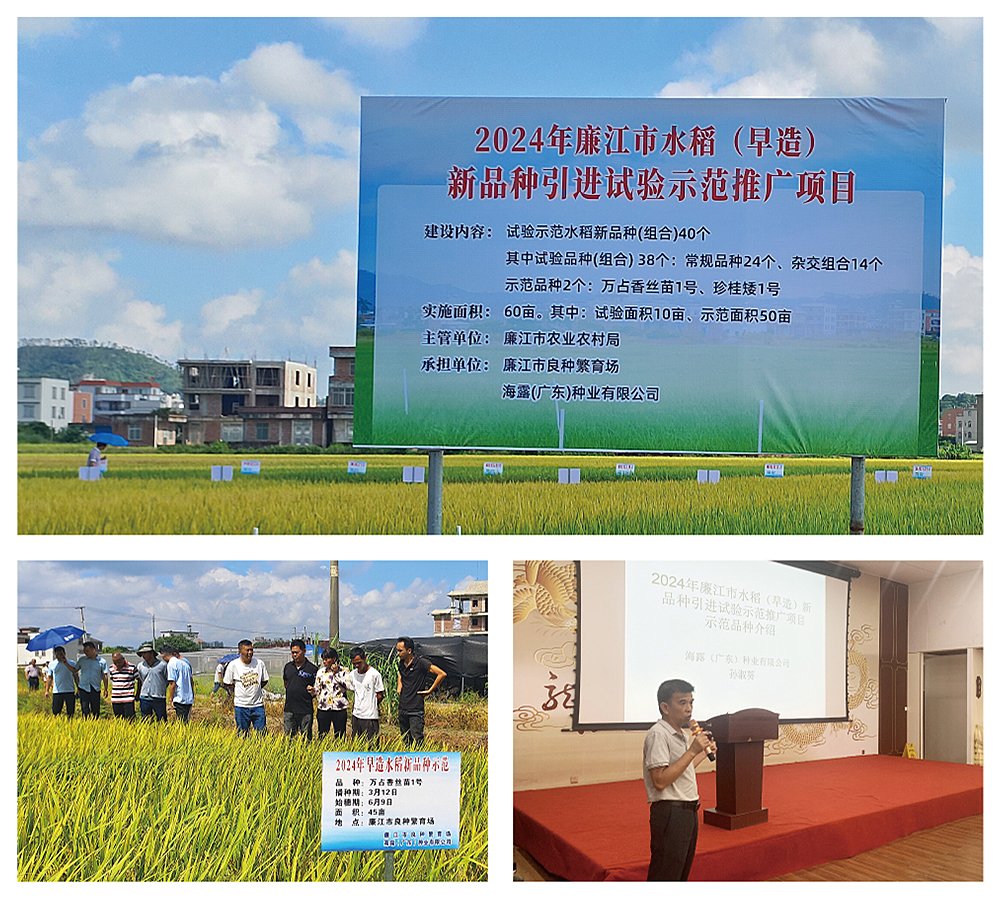 J9旗舰厅(中国区)官方网站