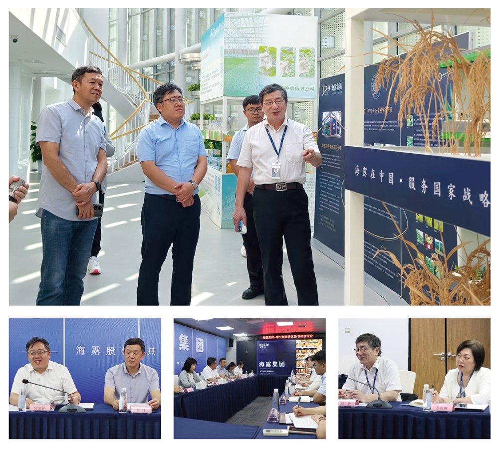 J9旗舰厅(中国区)官方网站