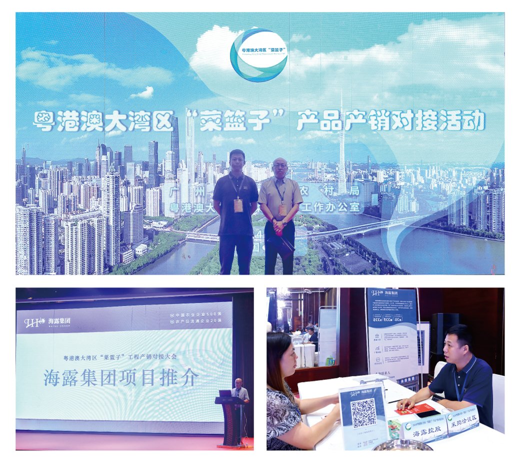 J9旗舰厅(中国区)官方网站