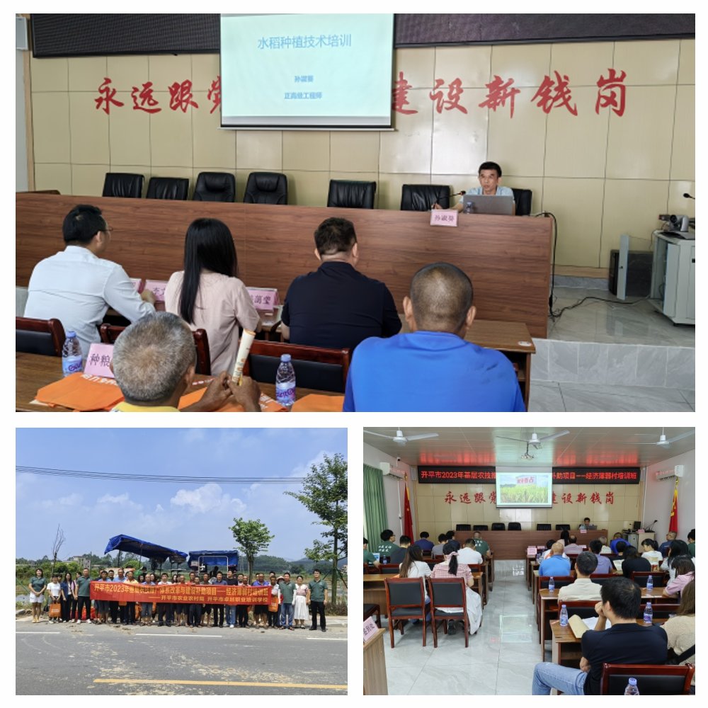 J9旗舰厅(中国区)官方网站