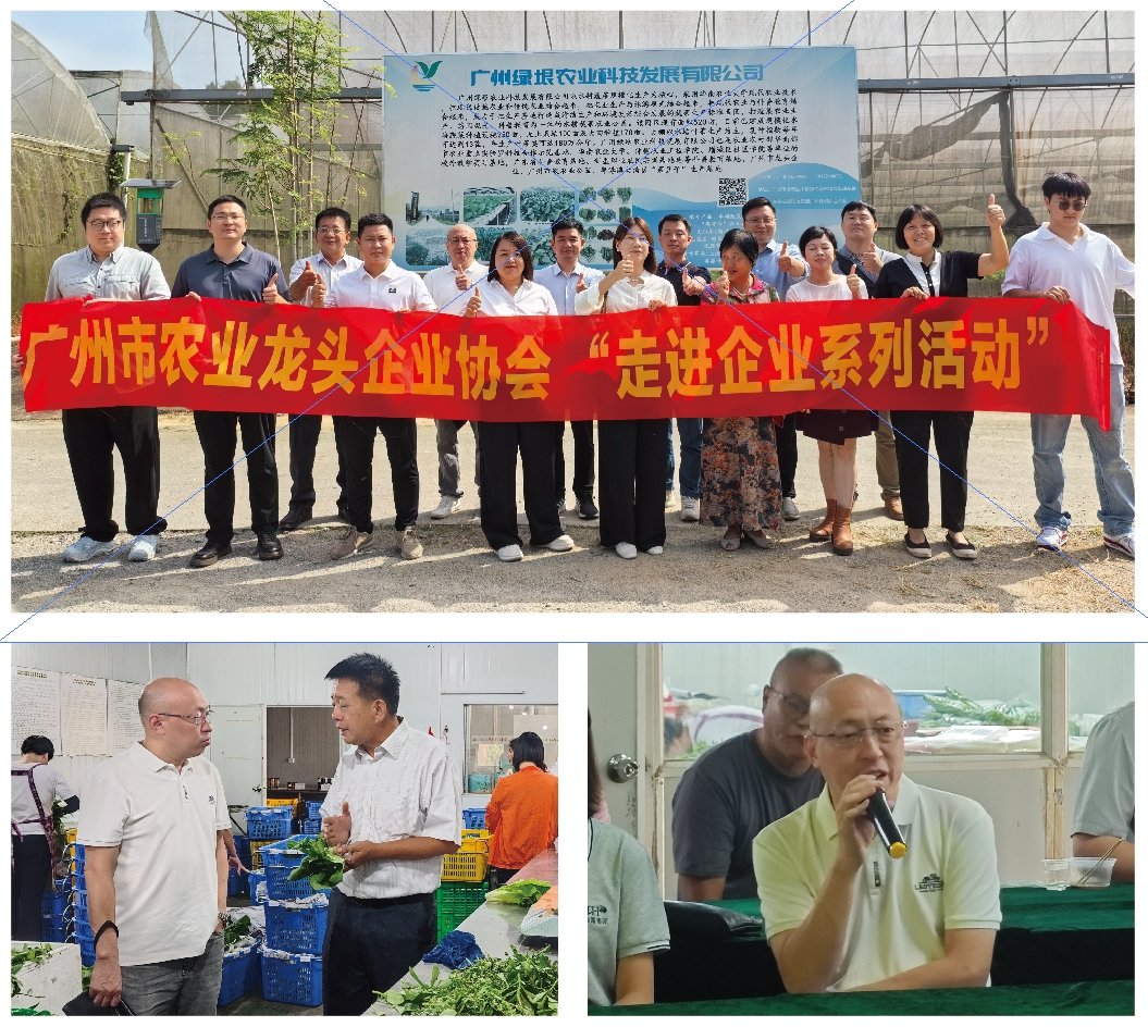 J9旗舰厅(中国区)官方网站