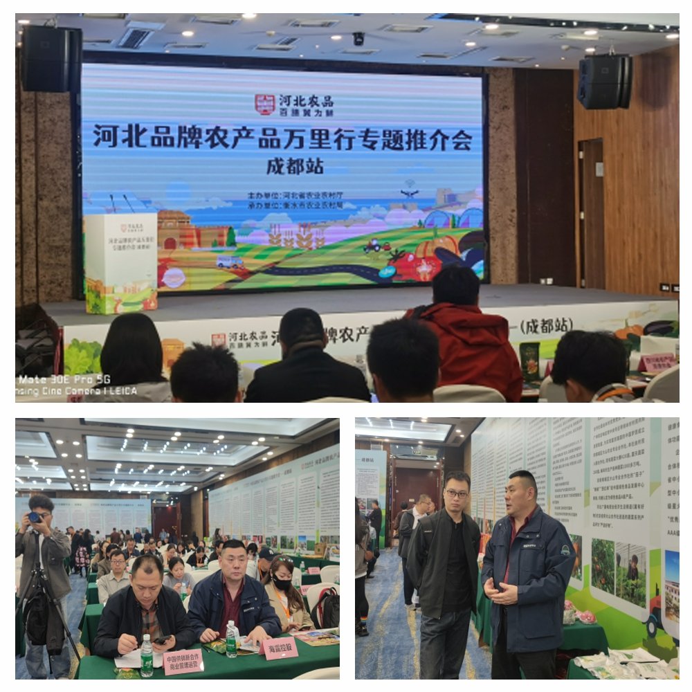 J9旗舰厅(中国区)官方网站