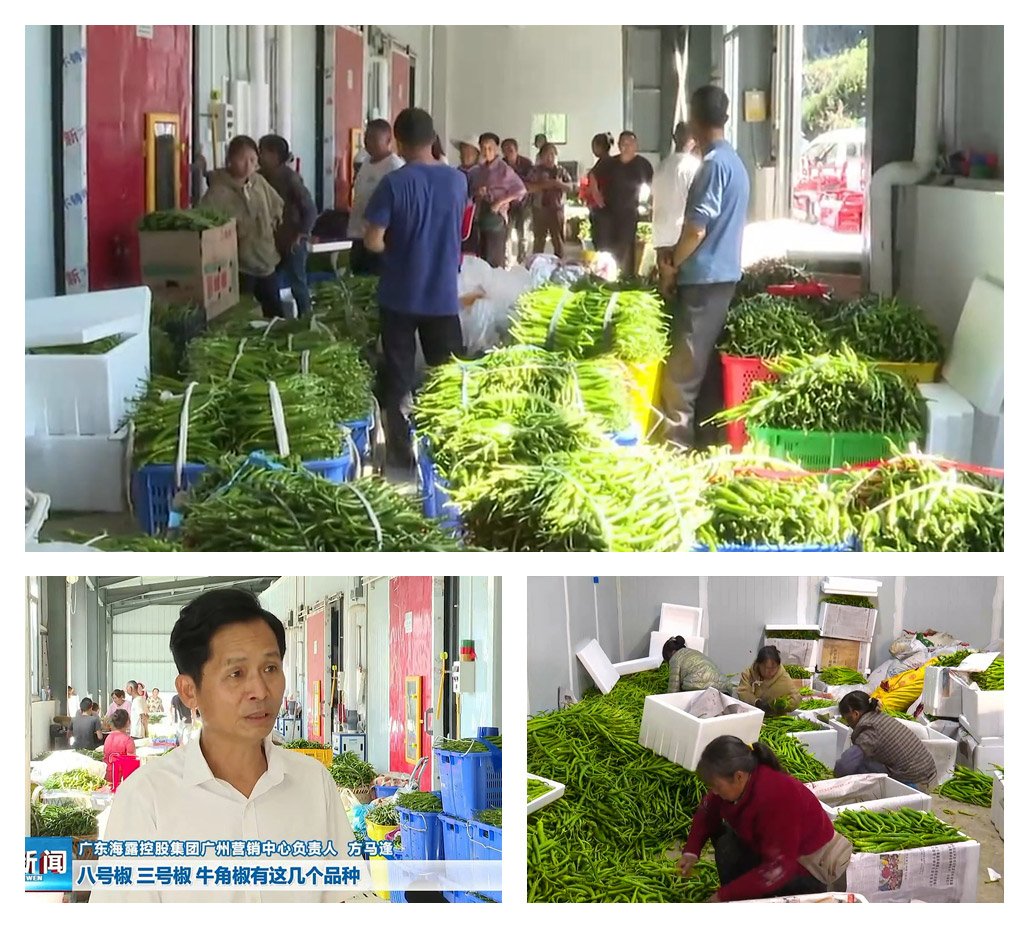 J9旗舰厅(中国区)官方网站