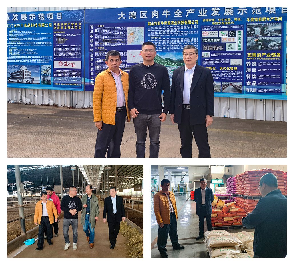 J9旗舰厅(中国区)官方网站