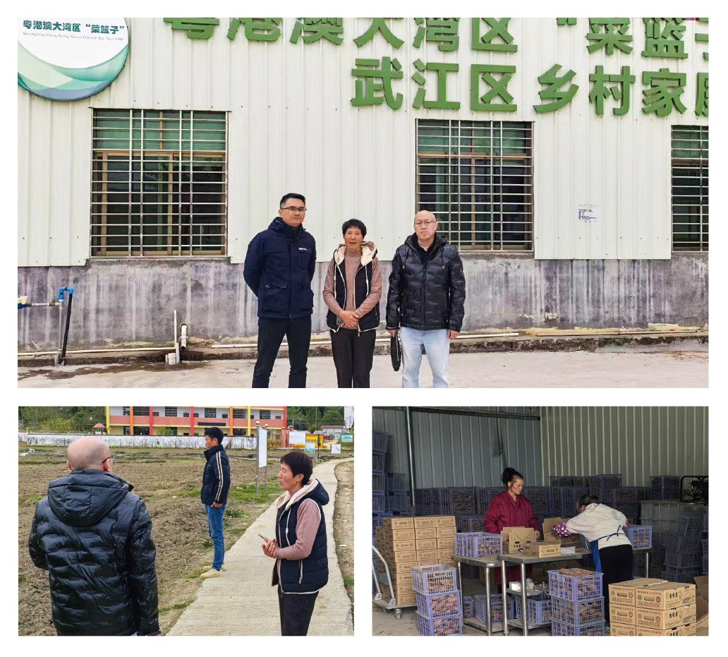 J9旗舰厅(中国区)官方网站