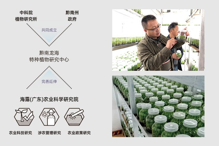 J9旗舰厅(中国区)官方网站