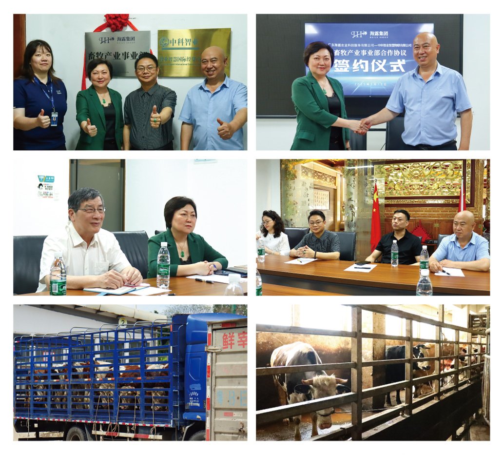 J9旗舰厅(中国区)官方网站