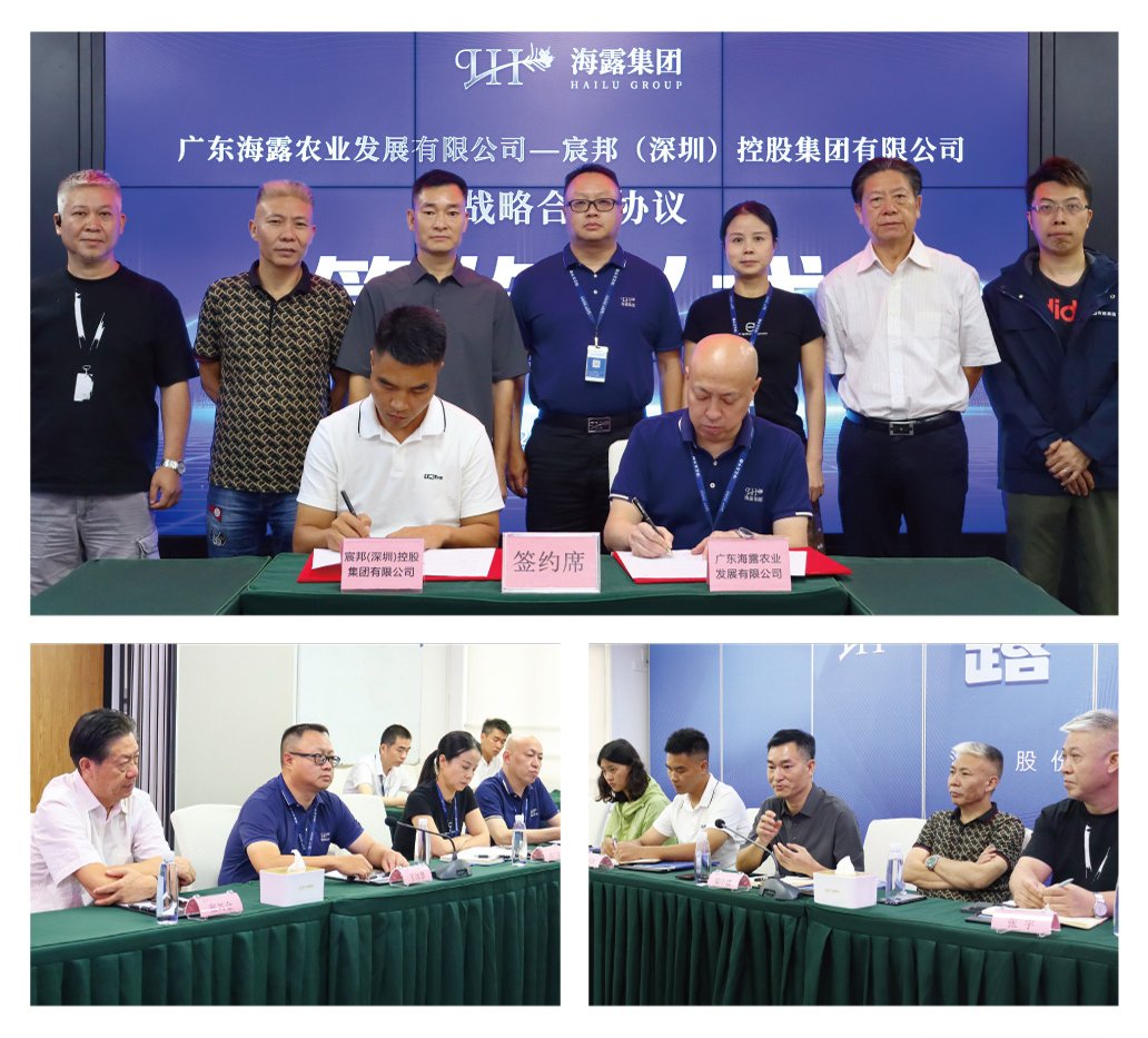 J9旗舰厅(中国区)官方网站