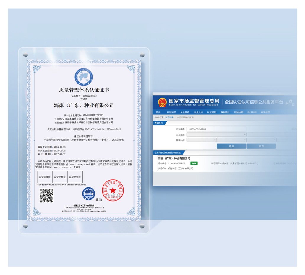 J9旗舰厅(中国区)官方网站