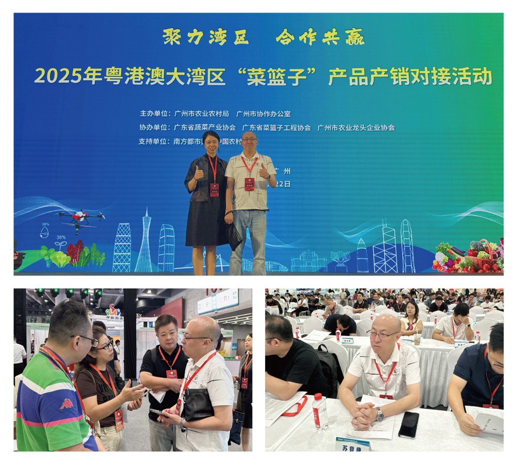 J9旗舰厅(中国区)官方网站