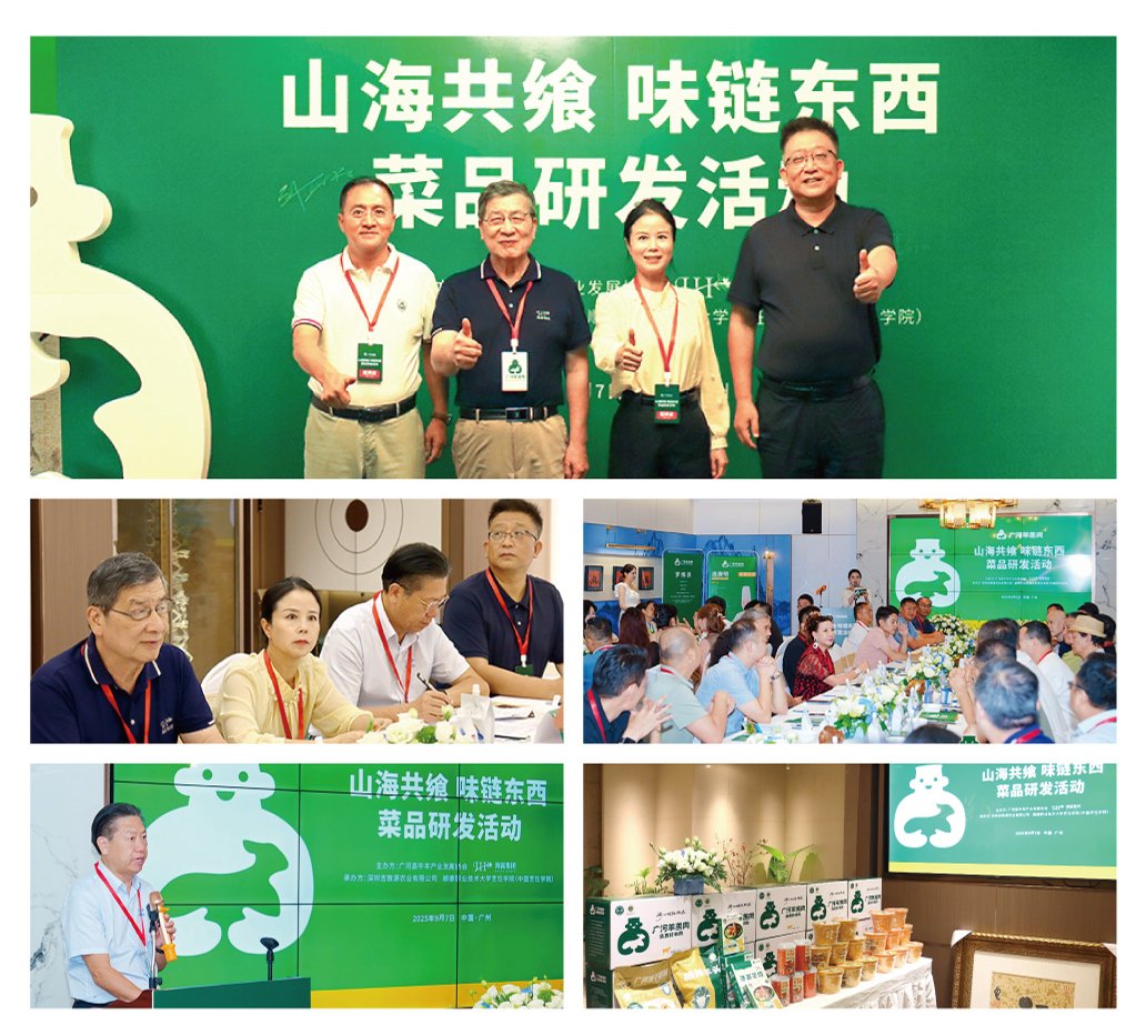 J9旗舰厅(中国区)官方网站