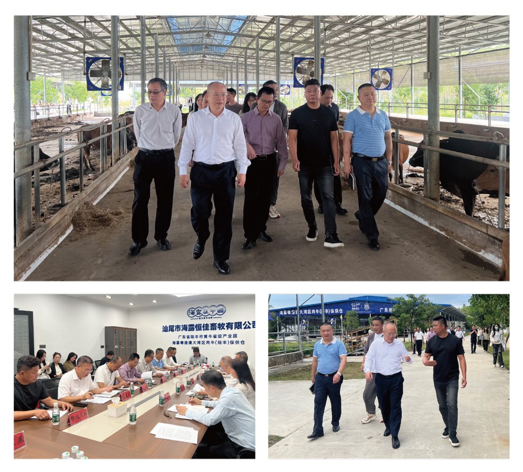 J9旗舰厅(中国区)官方网站