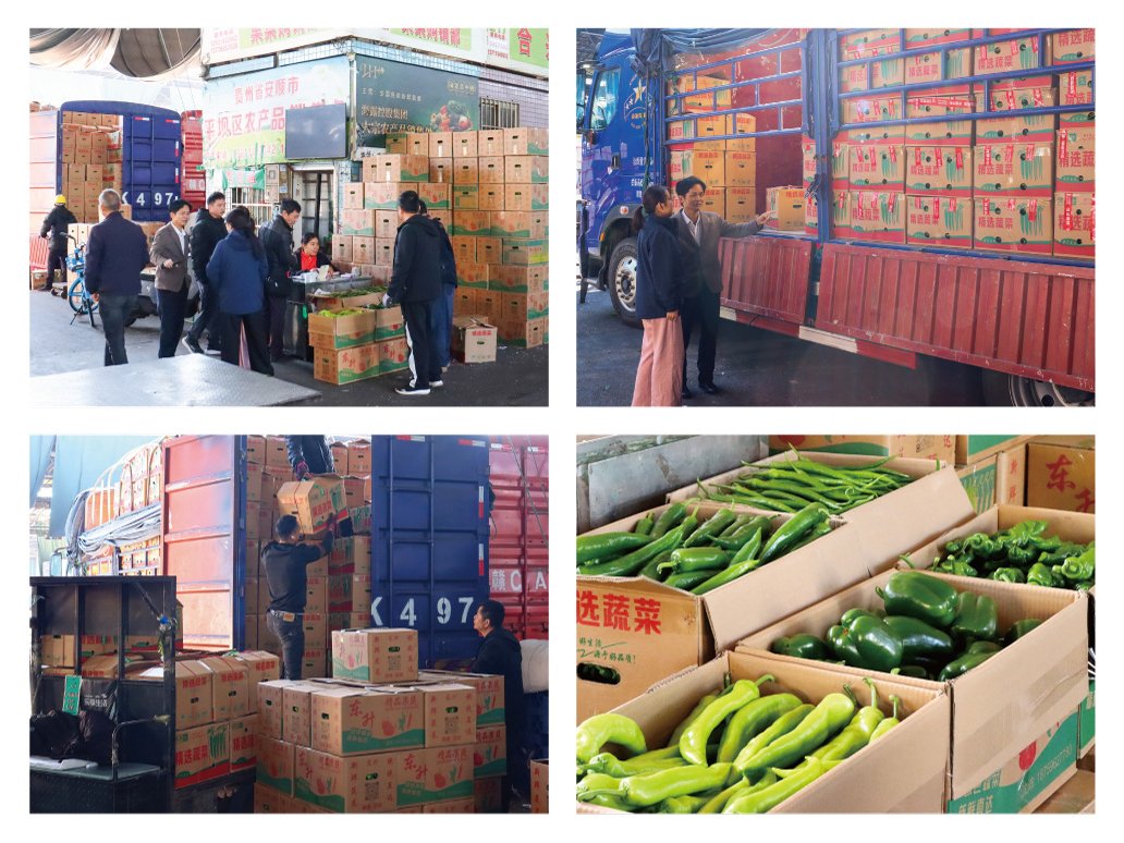 J9旗舰厅(中国区)官方网站